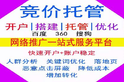 SEM代运营托管公司成功案例：提升转化率的关键策略